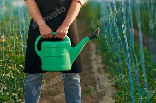 Preview: Green watering can in hands. Man in greenhouse is working with plants