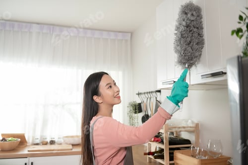 Preview: Asian young woman sweeping sofa and furniture