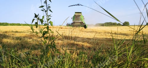 Preview: Deutz Fahr combine harvester in the field