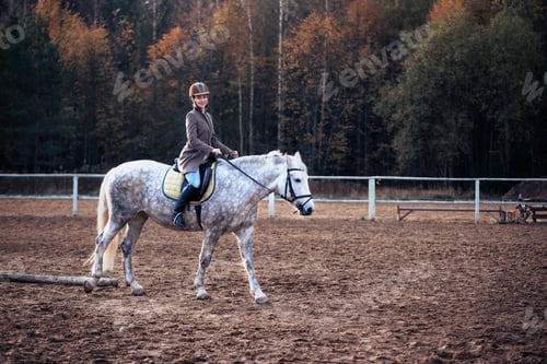 Preview: ↟ Girl in a brown tweed jacket, riding on a gray horse. On the background of autumn nature