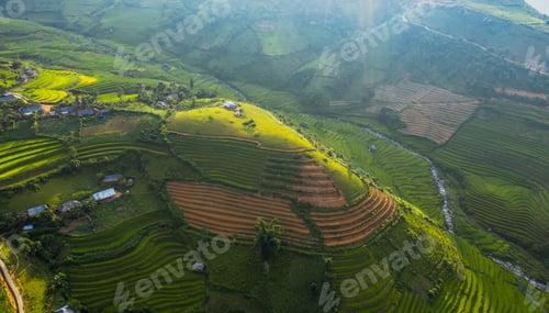 Preview: Paddy rice terraces, green agricultural fields in countryside of mountain hills valley, Vietnam.