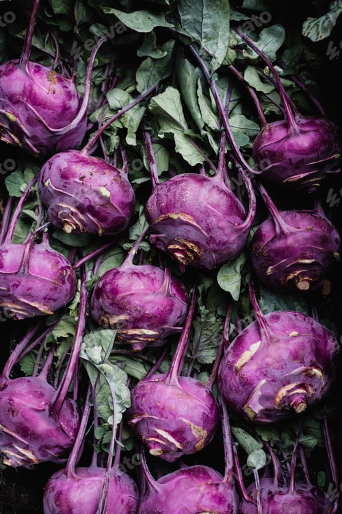 Preview: High angle close up of freshly picked purple kohlrabi.