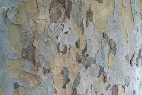 Preview: Chipped paint texture