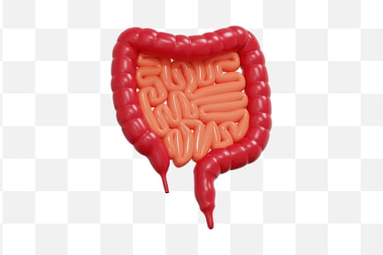 Preview: Intestine Anatomy 3D Icon