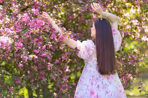 Preview: rear view, girl in a pink dress standing near pink blooming tree