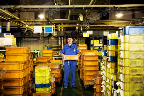 Preview: Japanese man in factory, holding orange plastic crate.