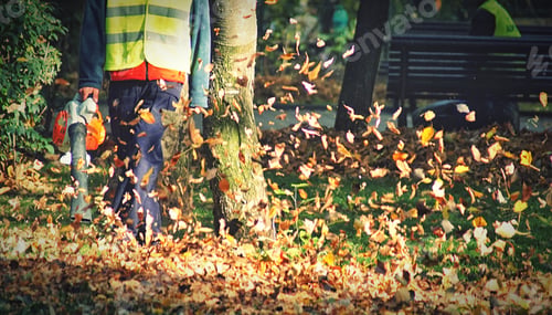 Preview: Flying leaves