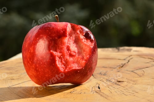 Preview: Close up of apple type with red, white, yellow and pink pulp