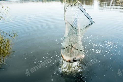 Preview: Catching fish with net