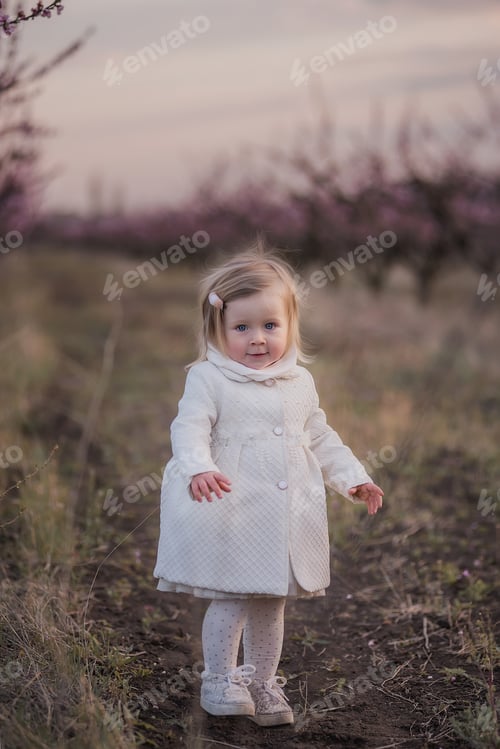 Preview: Little toddler girl in white coat stands in field, among blooming peach rose gardens at sunset