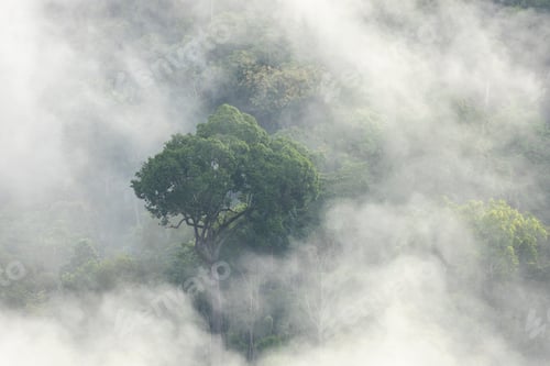 Preview: Landscape misty. Fantastic dreamy sunrise on rocky mountains