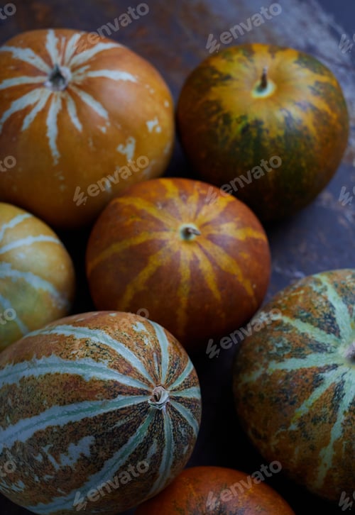 Preview: Muskmelon no rusty metal floor