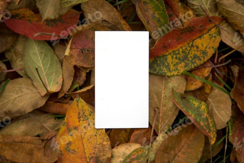 Preview: Blank Card Surrounded by Colorful Autumn Leaves