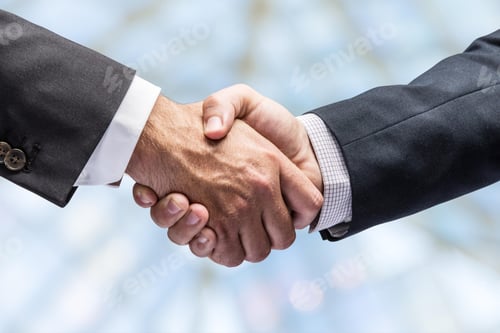 Preview: handshake, successful, congratulating, shaking