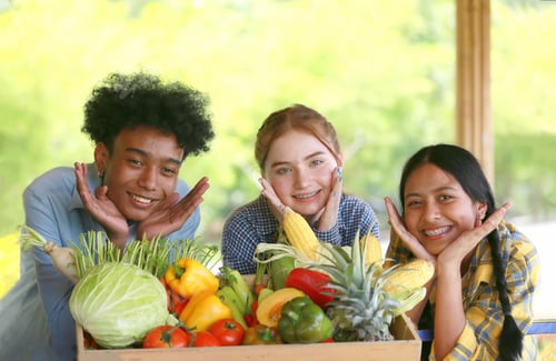 Preview: A young diverse group having fun and enjoy emotion in plantation organic's farm greenhouse.