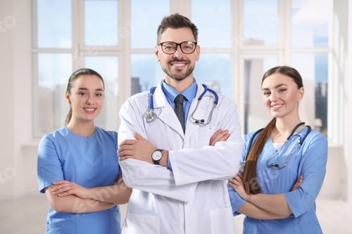 Preview: Team of professional doctors in clinic hallway