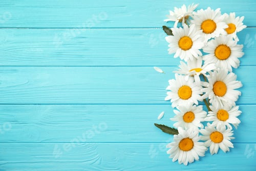 Preview: Beautiful chamomile flowers on color wooden background, top view