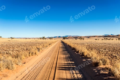 Preview: Dirt road in plain landscape at Namibrand Nature Reserve , Namibia