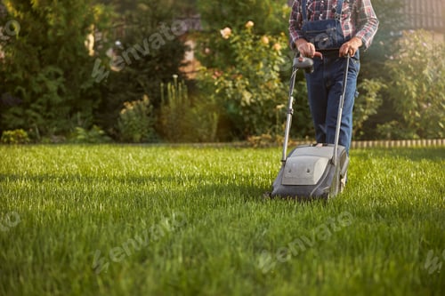 Preview: Gardener taking care of his lawn using a grass cutter