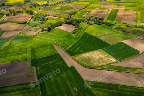 Preview: Colorful Lush Crop Fields in Rural Counrtyside Landscape. Aerial Drone View. Polish Farmlands