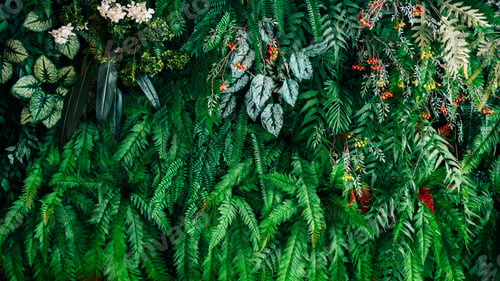 Preview: Tropical green leaves texture and abstract background.