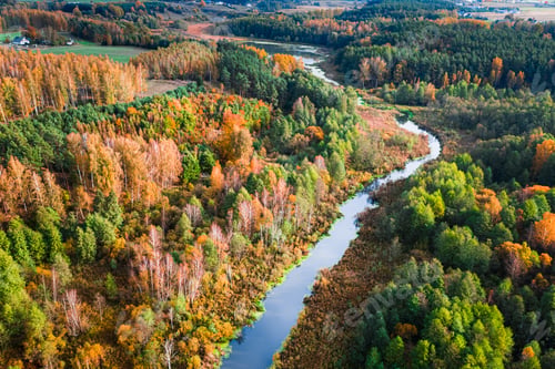 Preview: Small river and colorful forest. Aerial view of wildlife.