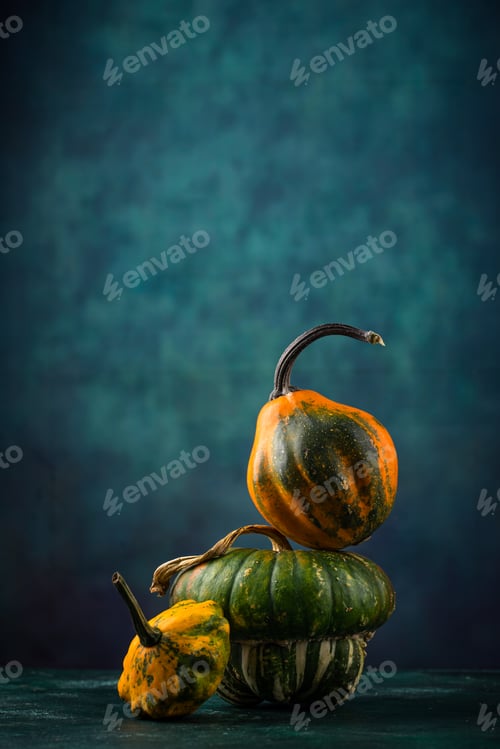 Preview: Various decorative pumpkin on green background