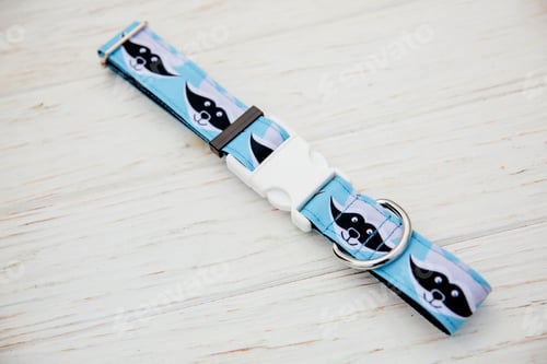 Preview: Dog Collar and Leash set. Pet Supplies and Walking Gear Collection