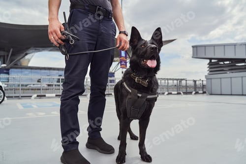 Preview: Airport security worker with detection dog standing at aerodrome