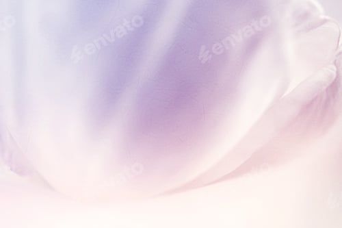 Preview: Sweet Color Rose Petal In Soft And Blur Style On Mulberry Paper Texture