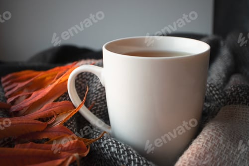 Preview: Mockup white cup with herbal hot tea and knitted scarf, orange autumn leaves. Fall mood