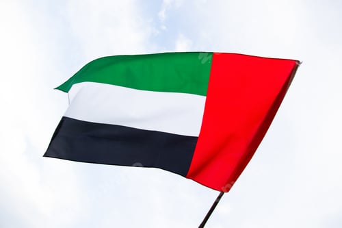 Preview: Waving fabric texture of the flag with color of United Arab Emirates, UAE real texture flag