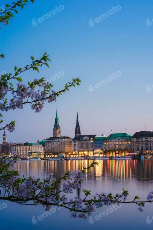 Preview: Beautiful view of Hamburg town hall - Rathaus and Alster river at spring earning evening