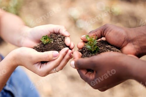 Preview: Ill be planted right here