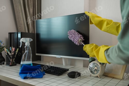 Preview: the housewife is cleaning the house, the wife is cleaning