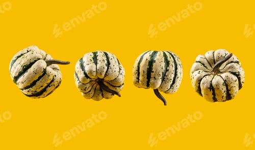 Preview: Pumpkin isolated on color background.