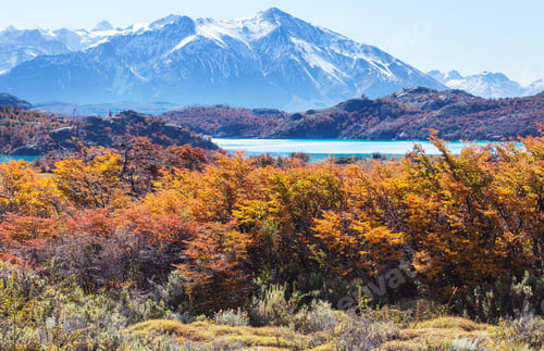 Preview: Autumn in Patagonia