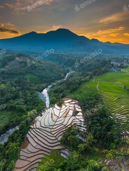 Preview: Beautiful morning view indonesia panorama landscape paddy fields