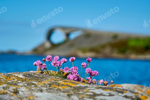 Preview: popular bridge along the famous atlantic road in Norway