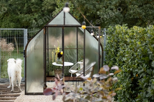 Preview: Vintage greenhouse in backyard