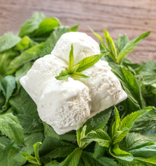 Preview: Vanilla ice cream in mint