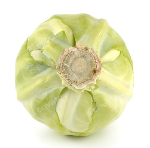 Preview: Fresh Cabbage isolated on white background