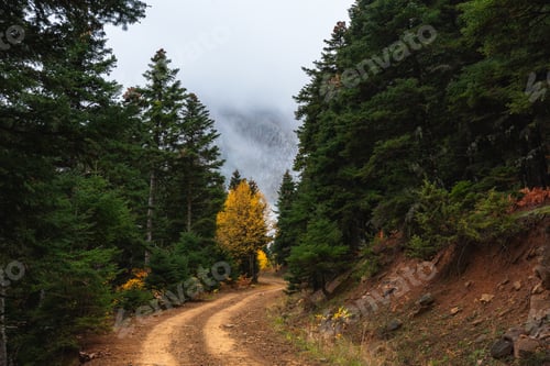 Preview: Road To The Peak