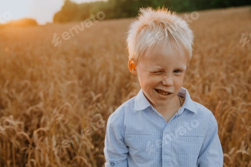 Preview: A 5 year old boy stands in a wheat field