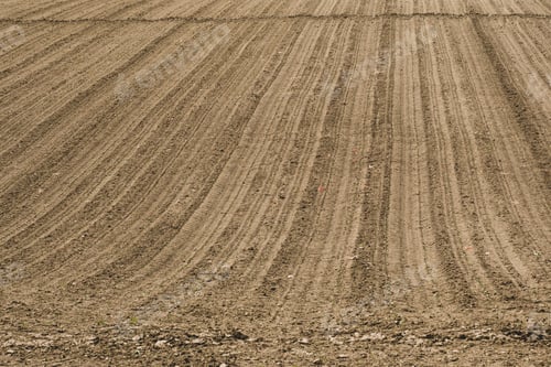 Preview: Beautiful shot of a landscape under the cloudy skies