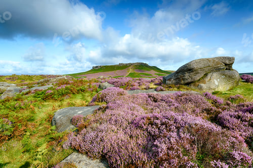 Preview: Heather at Carl Wark