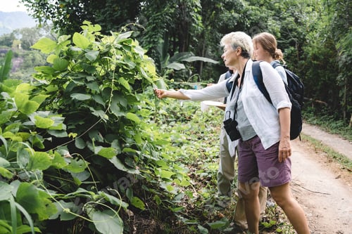 Preview: woman family or friends group trekking travel in adventure lifestyle, nature hiking in vacation