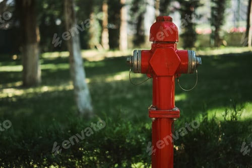 Preview: Fire hydrant in the park, the concept of maintaining regular parks