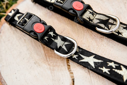 Preview: Dog Collar and Leash set. Pet Supplies and Walking Gear Collection