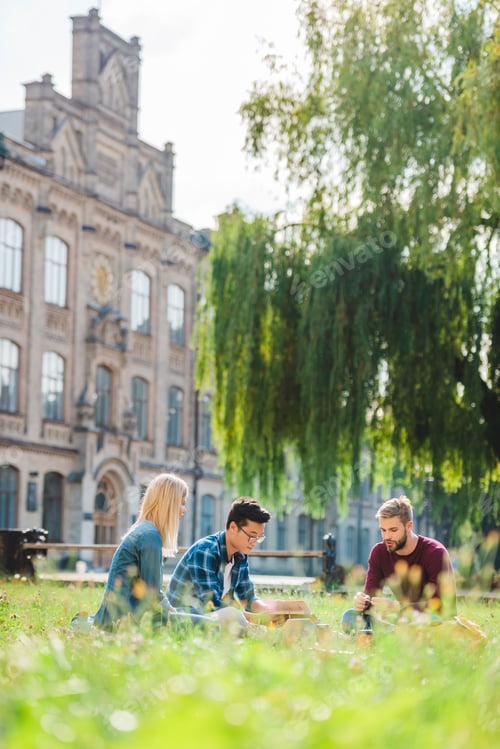 Preview: selective focus of multicultural students resting on green grass near university